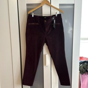 NWT Express pants mid rise